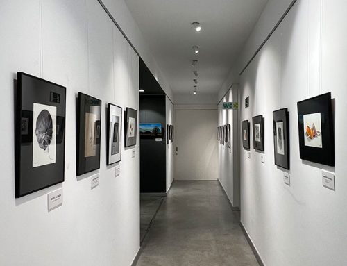 EXPOSICIÓ DE FOTOGRAFIA