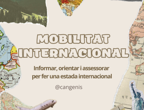 MOBILITAT INTERNACIONAL